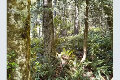 10 Th Ave To Forest Rock Lane NE, Poulsbo, WA 98370 - Photo 5