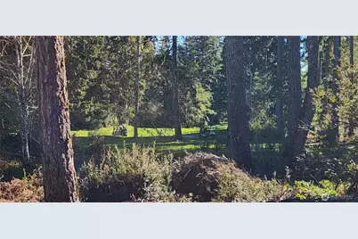 160 E Country Club Drive N, Union, WA 98592 - Photo 35