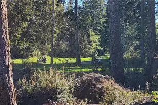 160 E Country Club Dr N, Union, WA 98592 - Photo 35