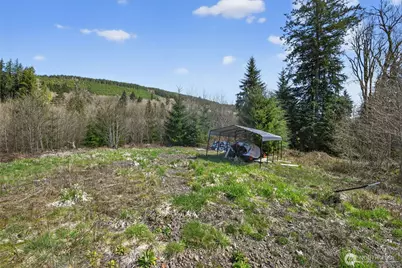 210 Bellicum Road, Morton, WA 98356 - Photo 23