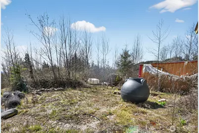 210 Bellicum Road, Morton, WA 98356 - Photo 17