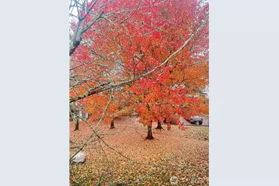 4808 NE Sunset Blvd #B105, Renton, WA 98059 - Photo 19