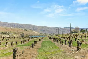 2988 Malaga Alcoa Hwy, Malaga, WA 98828 - Photo 17