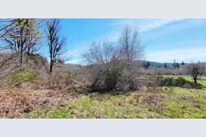 0 W Cloquallum Road, Shelton, WA 98584 - Photo 3