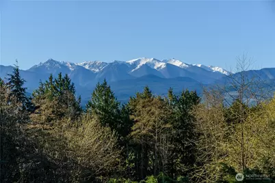 193 Snowberry Lane, Sequim, WA 98382 - Photo 7