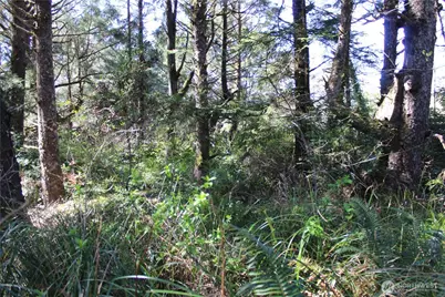 39 Dolphin Ln., Copalis Beach, WA 98535 - Photo 13