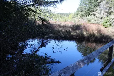 39 Dolphin Ln., Copalis Beach, WA 98535 - Photo 17