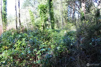 39 Dolphin Ln., Copalis Beach, WA 98535 - Photo 21