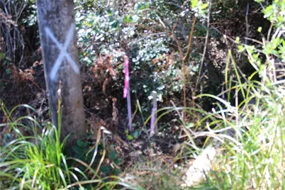 39 Dolphin Ln., Copalis Beach, WA 98535 - Photo 5