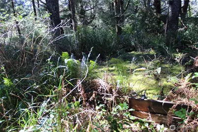 39 Dolphin Ln., Copalis Beach, WA 98535 - Photo 7