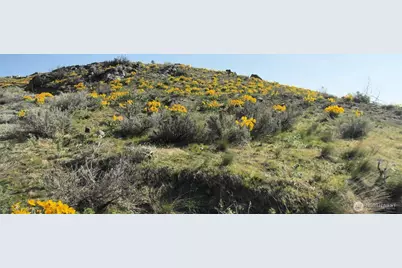 33 Avery Road, Pateros, WA 98834 - Photo 1