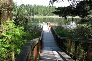 25235 SE Klahanie Blvd, Sammamish, WA 98029 - Photo 37