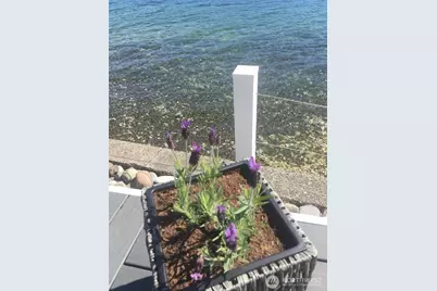 10731 NE North Shore Road, Belfair, WA 98528 - Photo 7