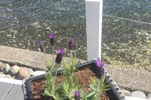 10731 NE North Shore Rd, Belfair, WA 98528 - Photo 7