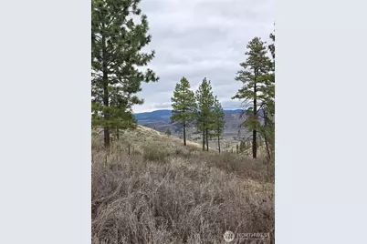 0 Tbd Twin Springs Road, Tonasket, WA 98855 - Photo 13