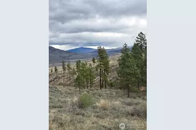 0 Tbd Twin Springs Road, Tonasket, WA 98855 - Photo 9