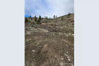 0 Tbd Twin Springs Road, Tonasket, WA 98855 - Photo 3