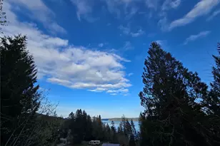 67 Birch Ct, Brinnon, WA 98320 - Photo 3