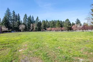 302 Studebaker Rd, Castle Rock, WA 98611 - Photo 31