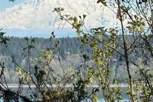 10911 Seaview Dr, Anderson Island, WA 98303 - Photo 1