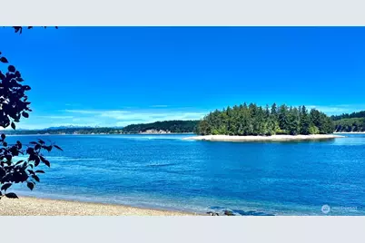 10911 Seaview Drive, Anderson Island, WA 98303 - Photo 13