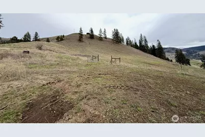 0 Tbd Cottonwood Creek Road, Curlew, WA 99118 - Photo 15