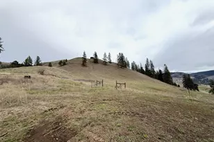 0 Tbd Cottonwood Creek Rd, Curlew, WA 99118 - Photo 15