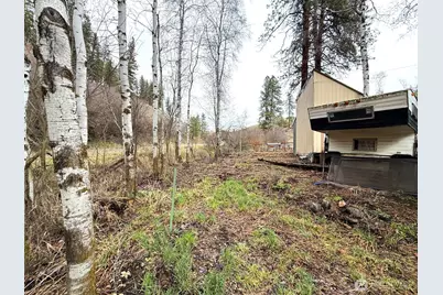 0 Tbd Cottonwood Creek Road, Curlew, WA 99118 - Photo 13