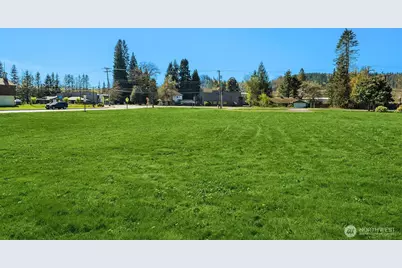 41 Xx Tolt Avenue, Carnation, WA 98014 - Photo 11