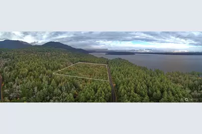 50 X Point Whitney Road, Brinnon, WA 98320 - Photo 9