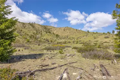 1 Bear Mountain Road, Chelan, WA 98816 - Photo 13