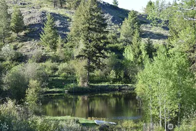 354 Vulcan Mountain Road, Curlew, WA 99118 - Photo 35