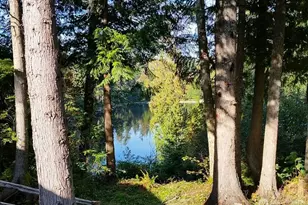 37627 W Lake Walker Dr SE, Enumclaw, WA 98022 - Photo 3