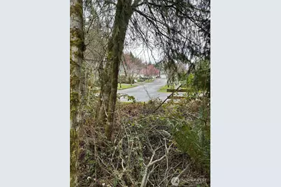 3133 32nd Avenue NW, Olympia, WA 98502 - Photo 9