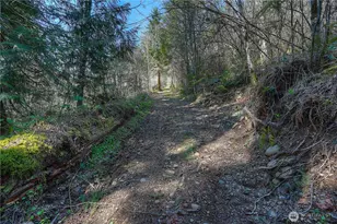 12833 Squaw Wood Ln SE, Rainier, WA 98576 - Photo 33