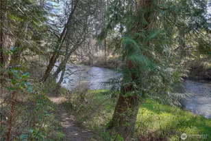 12833 Squaw Wood Ln SE, Rainier, WA 98576 - Photo 37