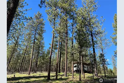 1069 B Kitt Narcisse Road, Colville, WA 99114 - Photo 5