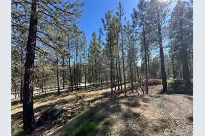 1069 B Kitt Narcisse Road, Colville, WA 99114 - Photo 29