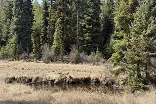 116 N Cape Labelle Rd, Wauconda, WA 98859 - Photo 29