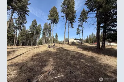 116 N Cape Labelle Road, Wauconda, WA 98859 - Photo 35