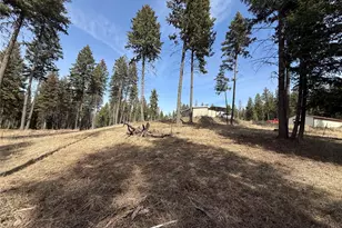 116 N Cape Labelle Rd, Wauconda, WA 98859 - Photo 35