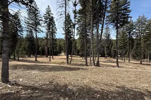 116 N Cape Labelle Rd, Wauconda, WA 98859 - Photo 33