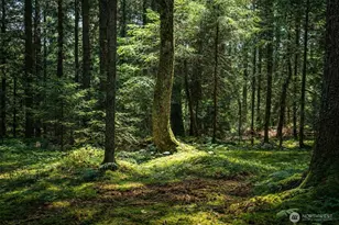 44110 SE 159th St, North Bend, WA 98045 - Photo 1