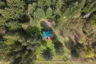 7119 345th St S, Roy, WA 98580 - Photo 37