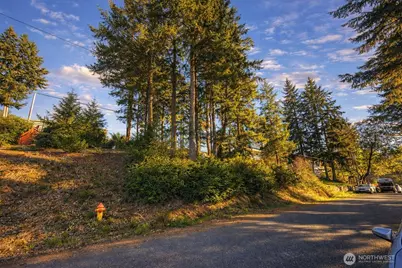 90 E Lakeview Drive, Shelton, WA 98584 - Photo 7