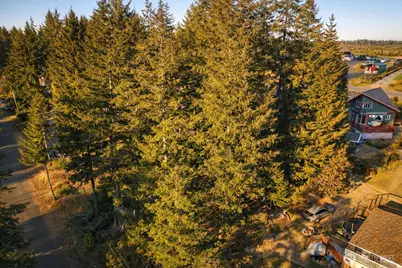 90 E Lakeview Drive, Shelton, WA 98584 - Photo 11