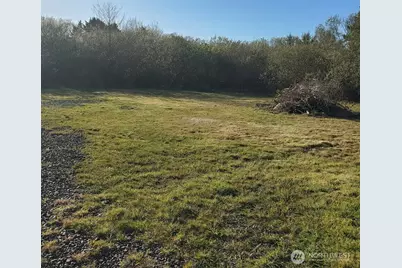 13 Chickamin Avenue, Ocean Shores, WA 98569 - Photo 1