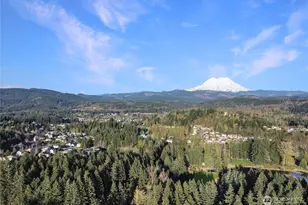 10802 Eatonville Hwy E, Eatonville, WA 98328 - Photo 7