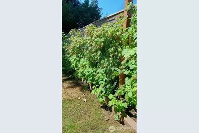 7414 91st Avenue Ct SW, Lakewood, WA 98498 - Photo 35