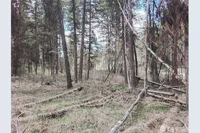 44 Trapline Loop Road, Oroville, WA 98844 - Photo 5